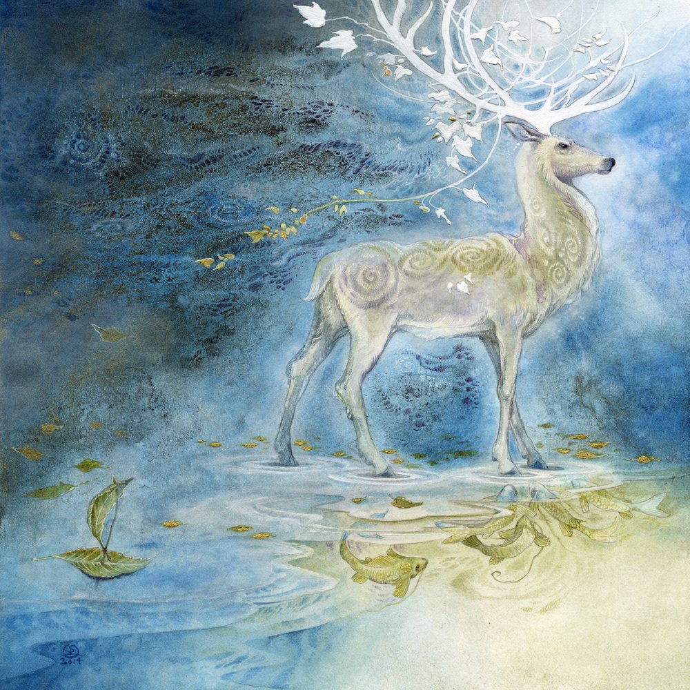 Mystical Deer Reflection by Stephanie Law
