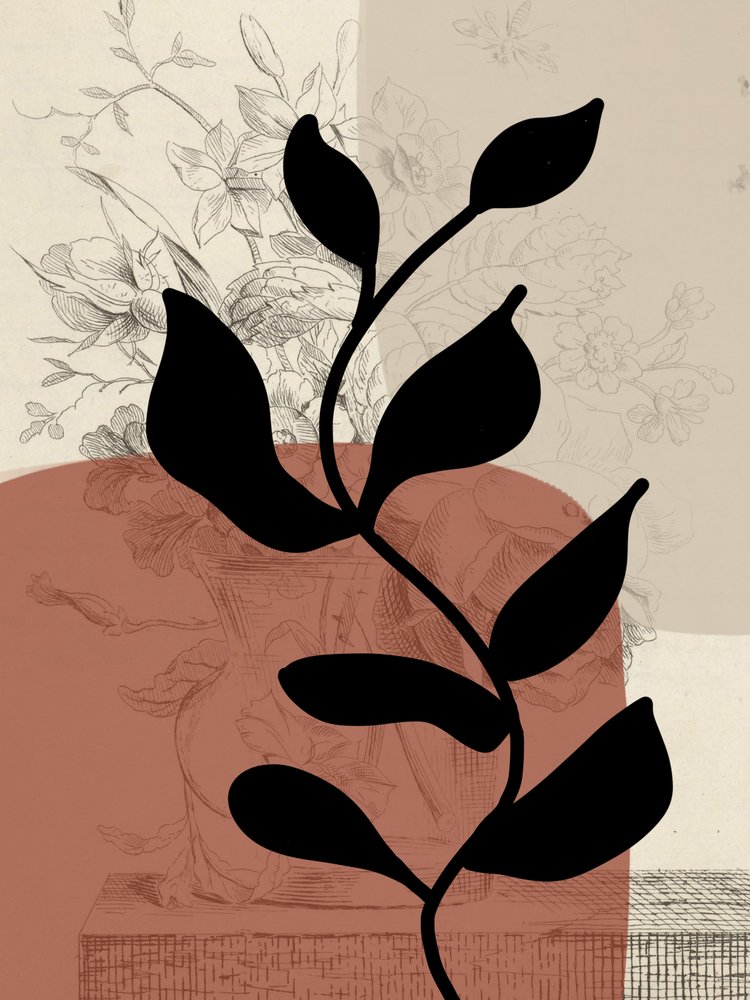 Black Botanical Silhouette by Studio Palette