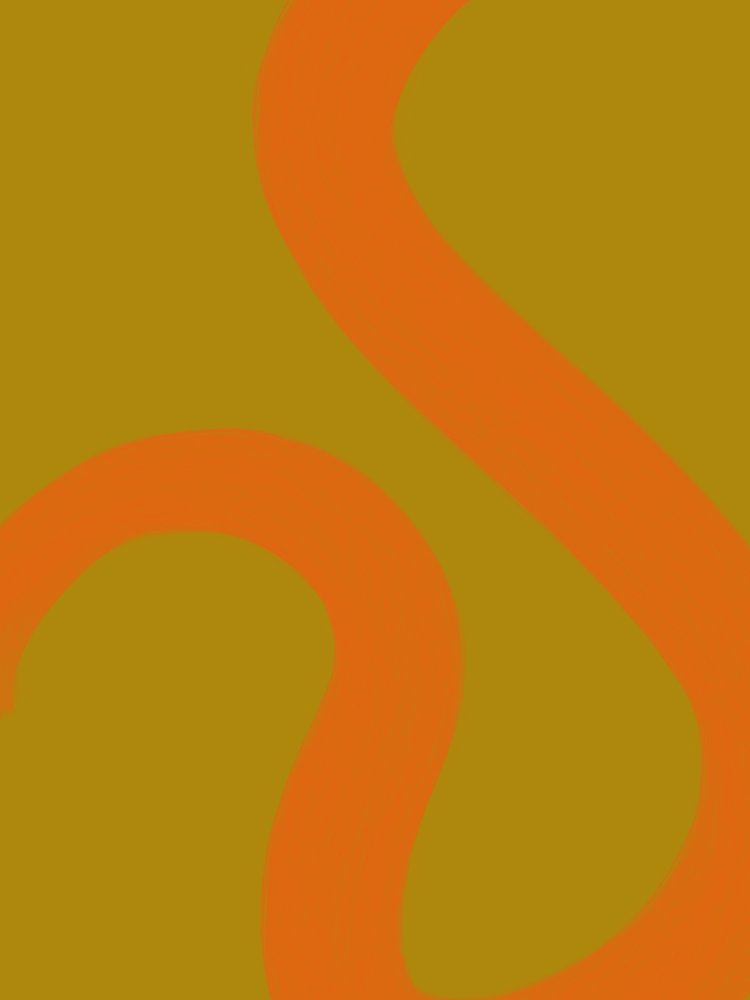 Fluid Orange Lines by Studio Palette