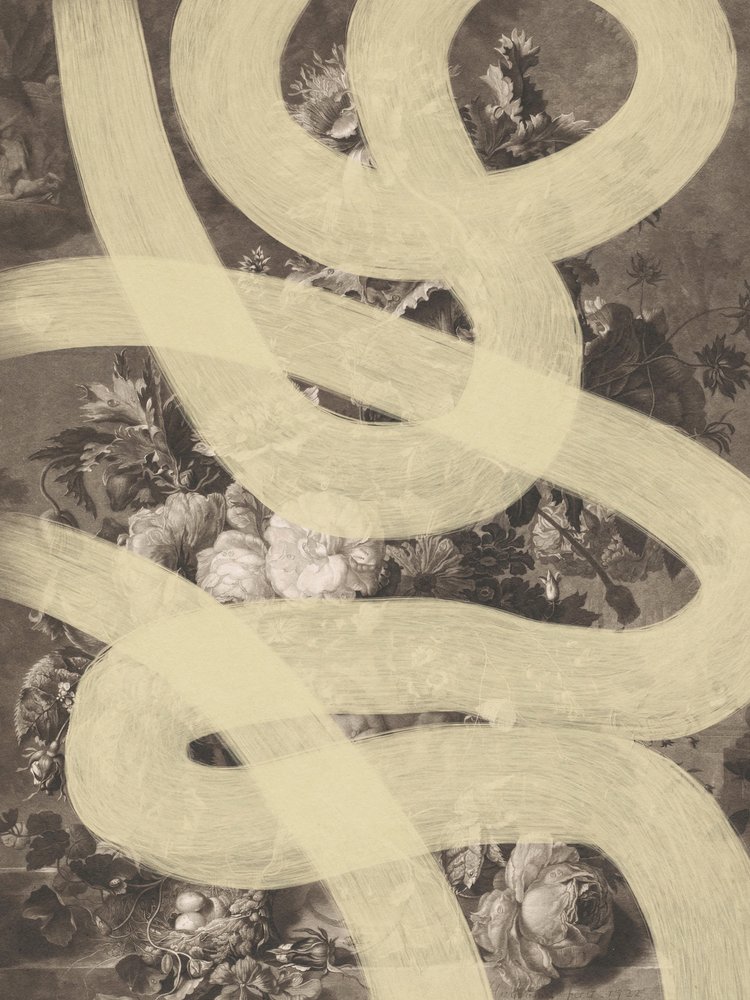 Swirling Botanical Abstract by Studio Palette