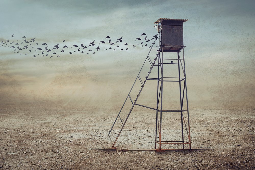 Birds Over Lone Watchtower by Sulaiman Almawash