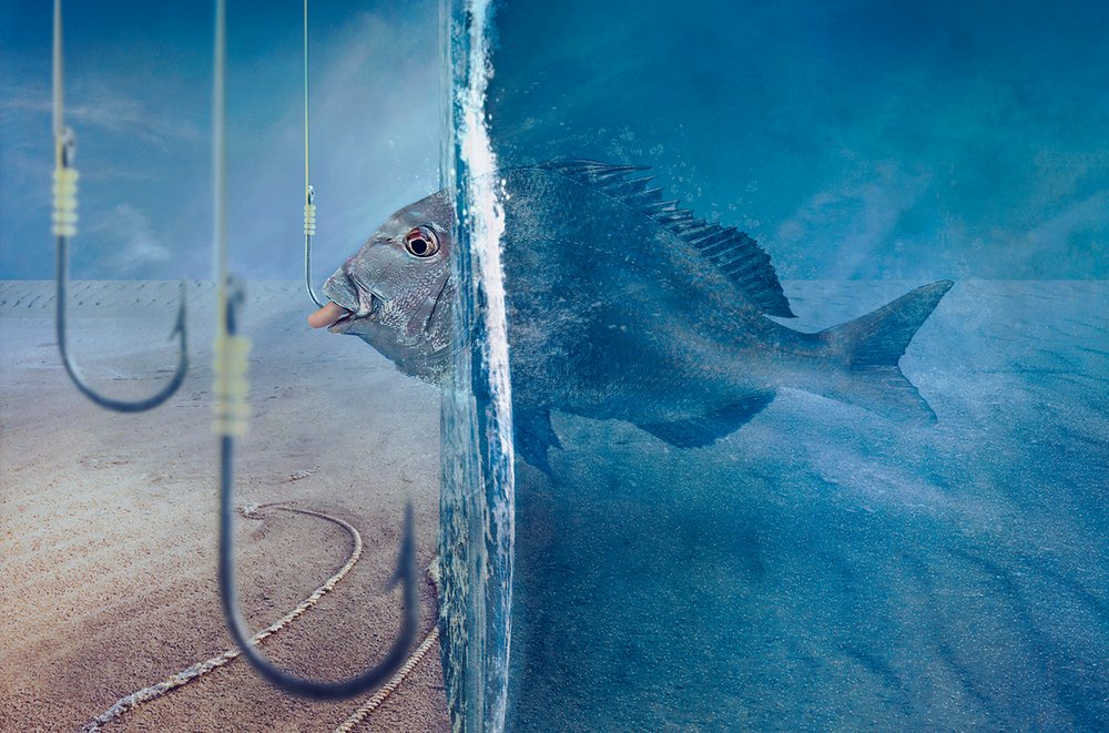 Fish Faces Temptation by Sulaiman Almawash