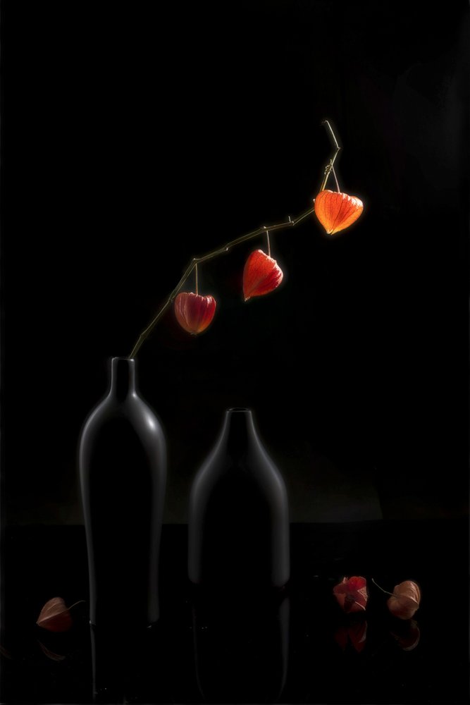 Orange Lanterns Still Life by Summer2016