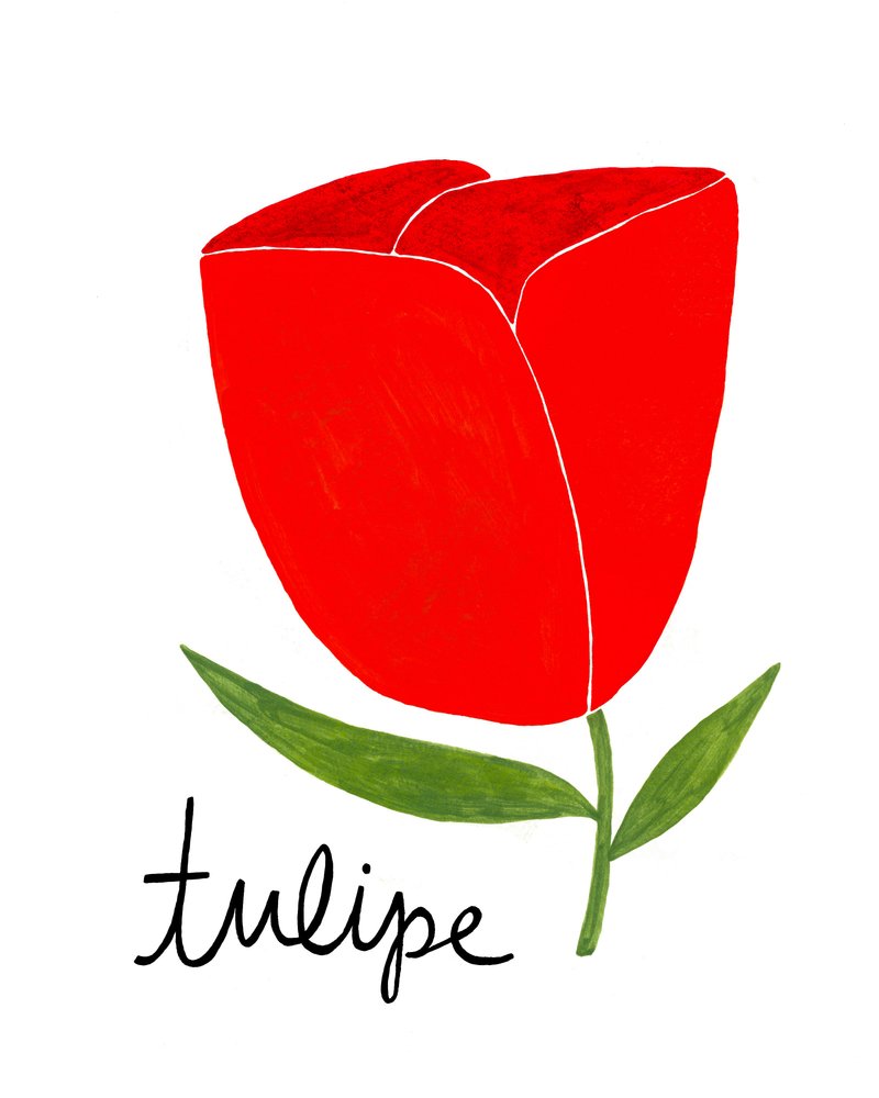 Vibrant Red Tulip by Susan Black