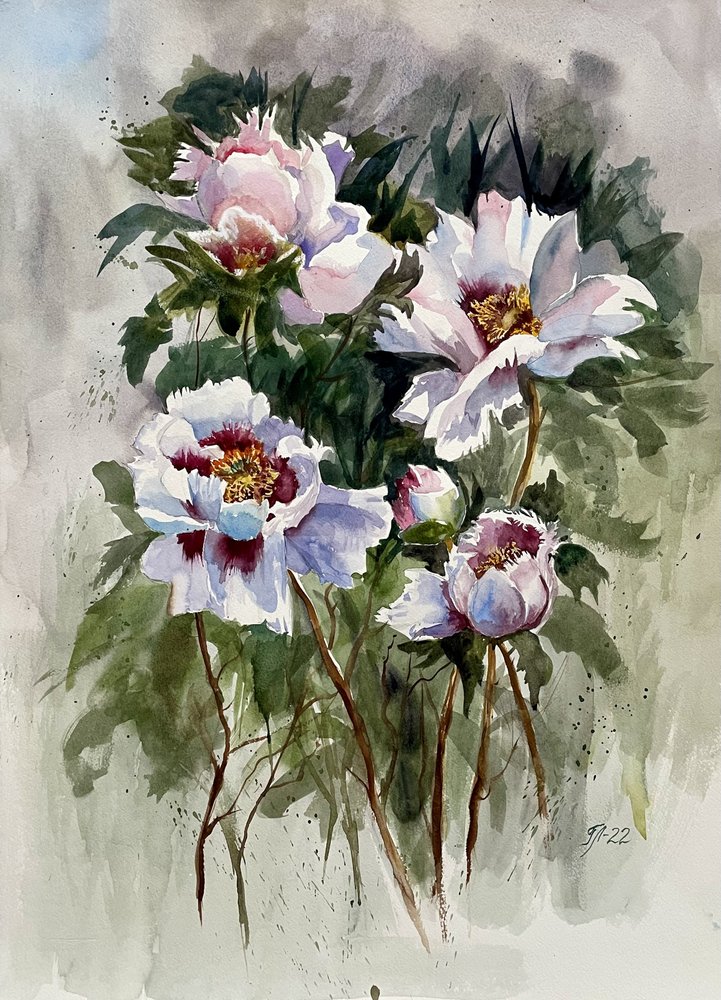 White Watercolor Peonies by Tanya Lundmark