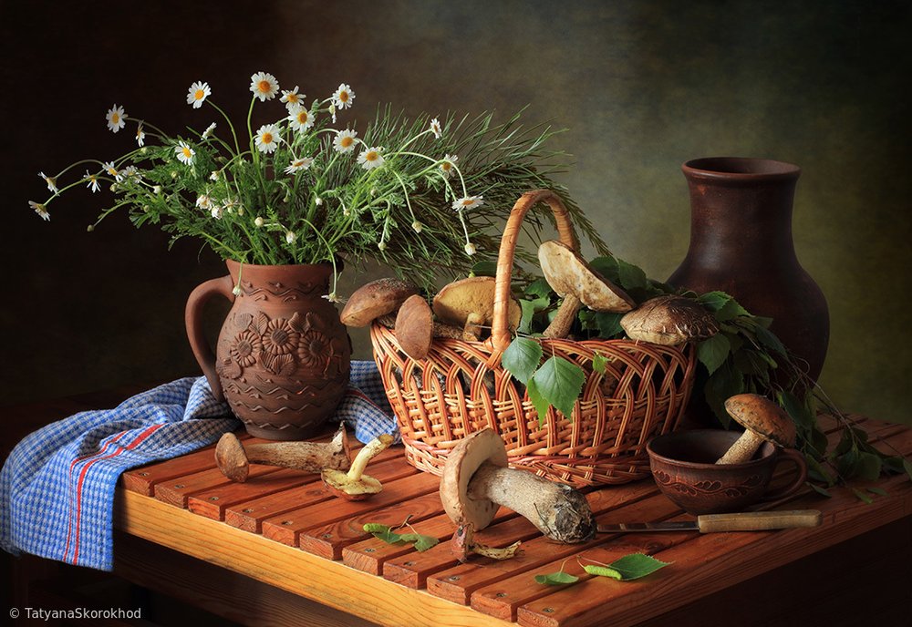 Autumn Mushroom Still Life by Tatyana Skorokhod