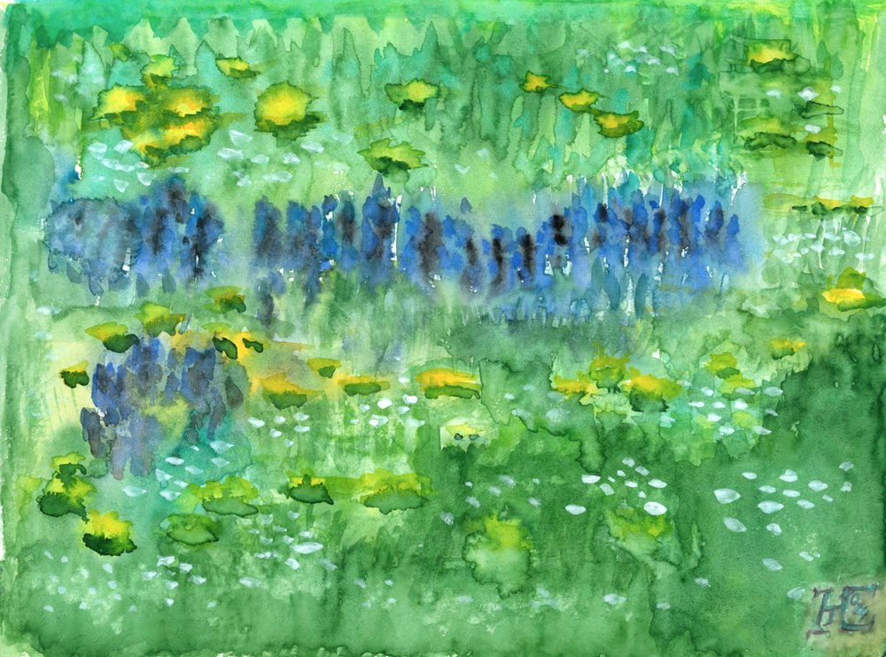Tranquil Lily Pond by Tim Hoinkis