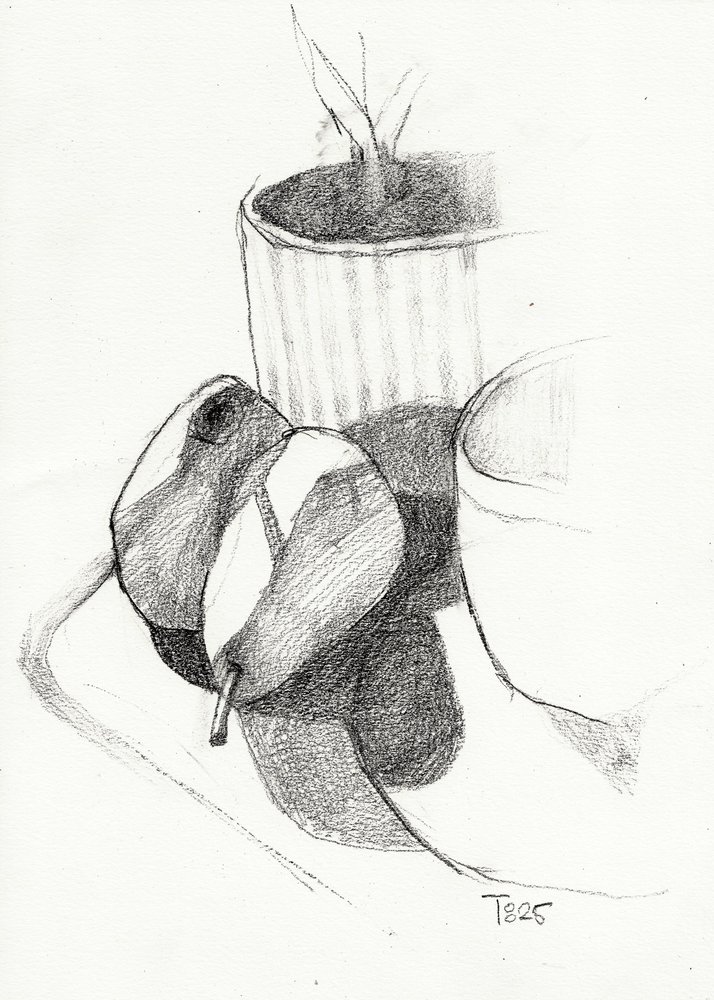Pears Still Life Sketch by Tore Bahnson