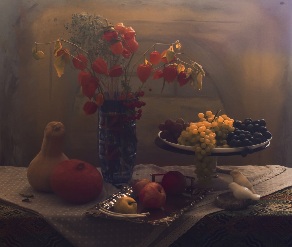 Autumn Fruit Still Life by UstinaGreen
