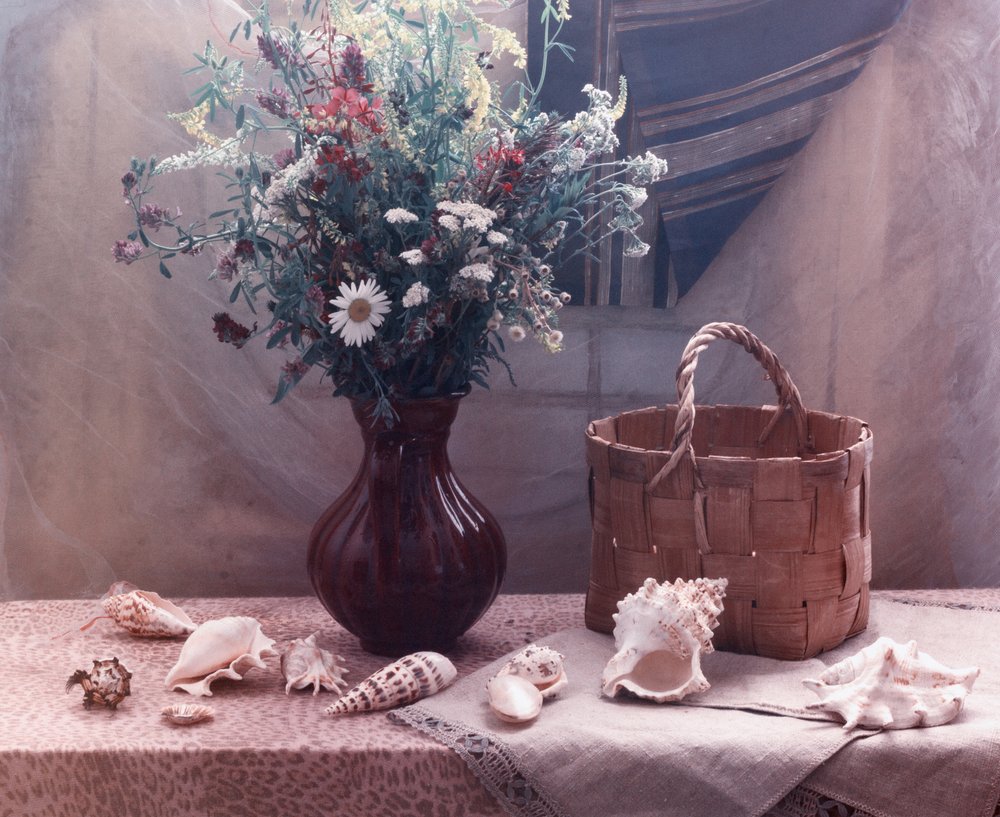 Wildflowers and Seashells Still Life by UstinaGreen