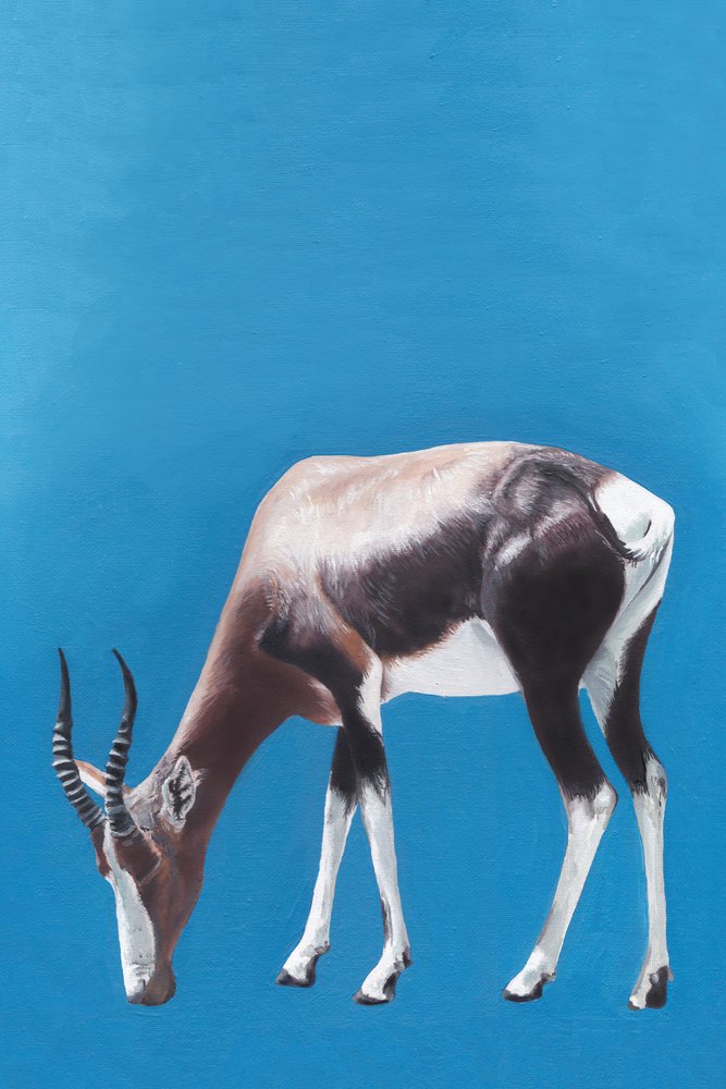 Blesbok Grazing Blue by Viccy Wanliss