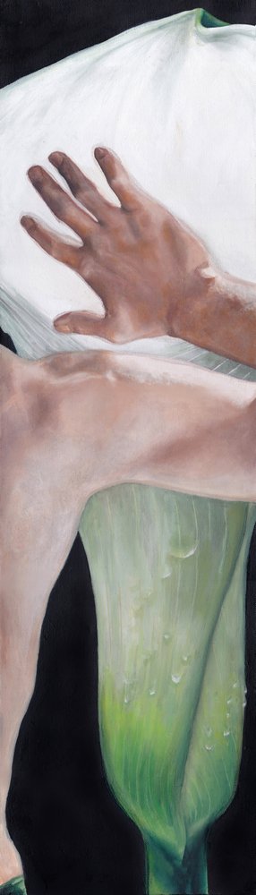 Hand Touching Calla Lily by Viccy Wanliss