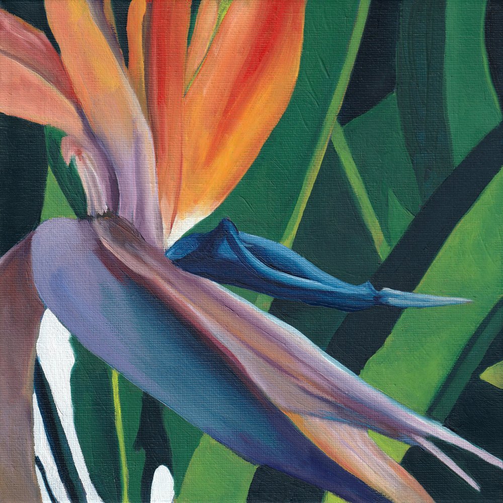Vibrant Bird of Paradise by Viccy Wanliss