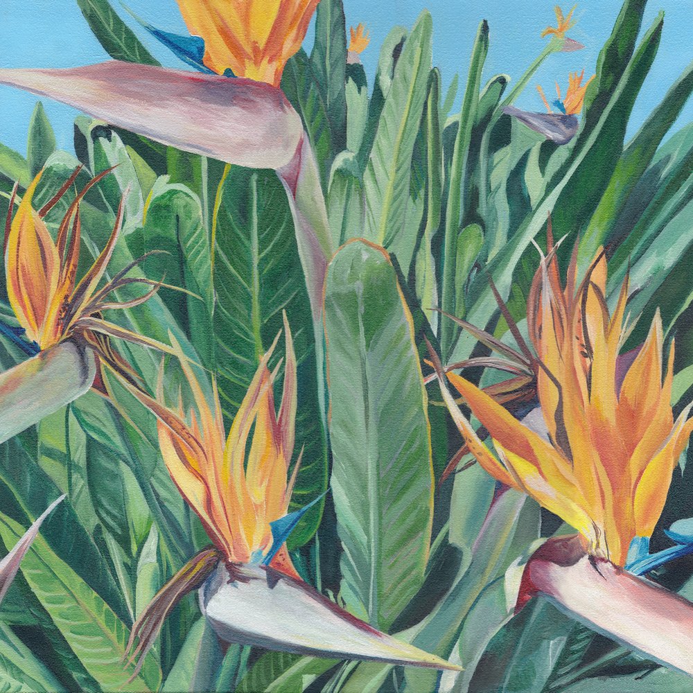 Vibrant Bird of Paradise by Viccy Wanliss