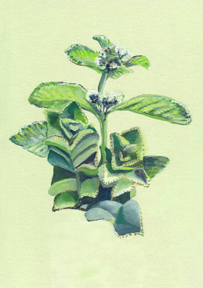 Vibrant Green Botanical by Viccy Wanliss