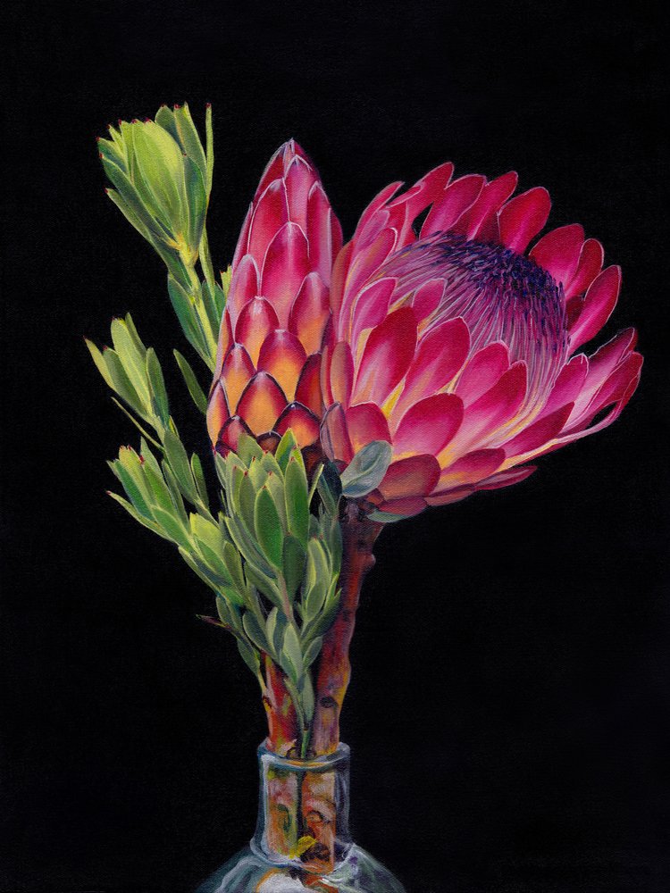 Vibrant Protea Blooms by Viccy Wanliss