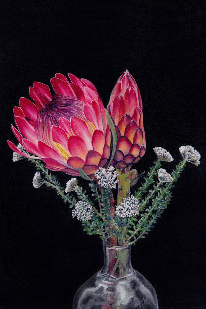 Vibrant Protea Blooms by Viccy Wanliss