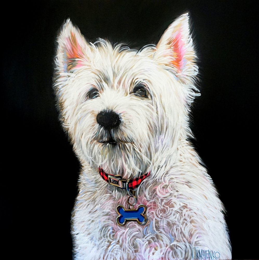Charming Westie Portrait by Victor Tkachenko