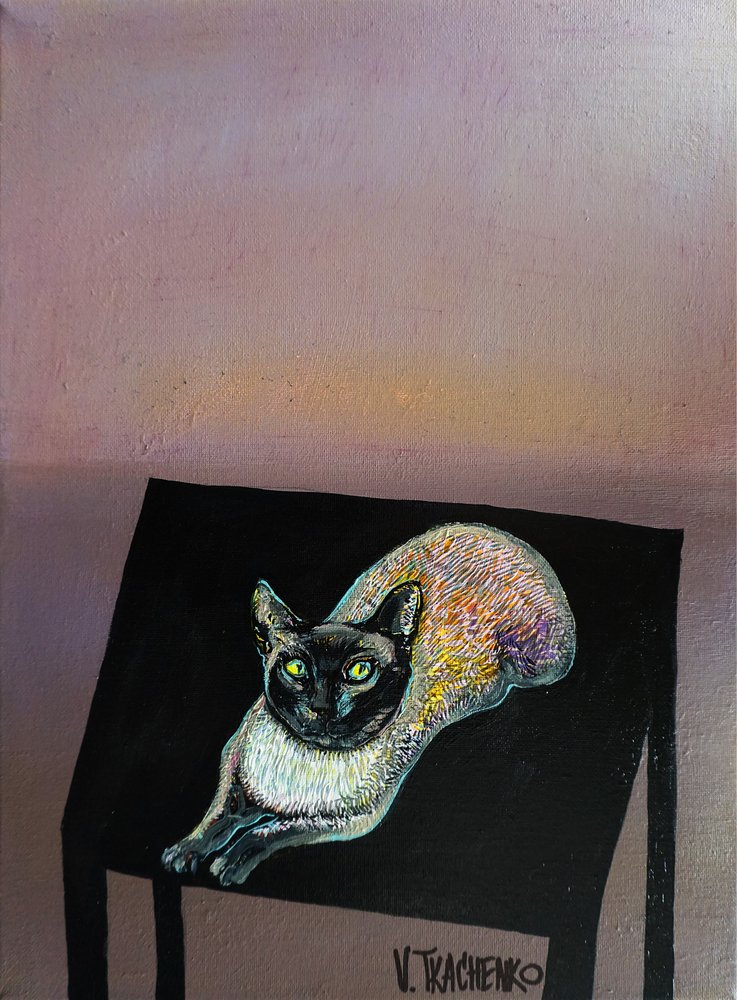 Siamese Cat Stretch by Victor Tkachenko