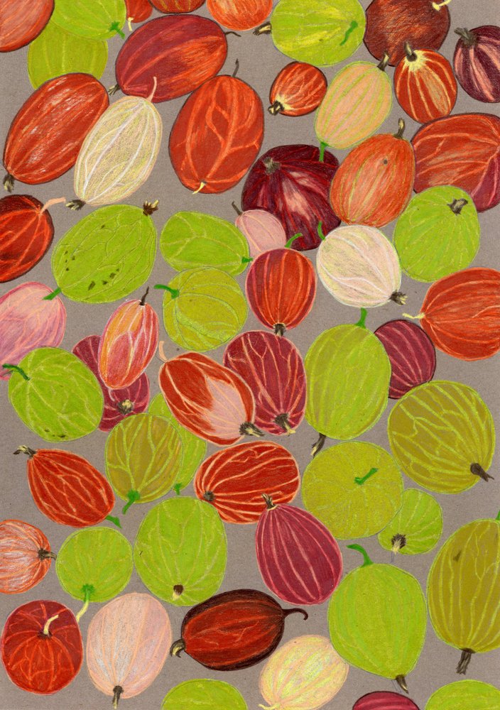 Colorful Gooseberries by Viktoriia Saunina