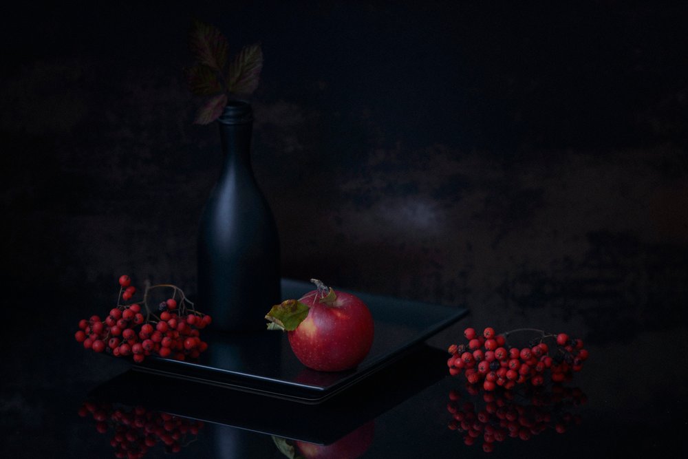 Dark Autumn Still Life by Vladimir Pavlovskyy