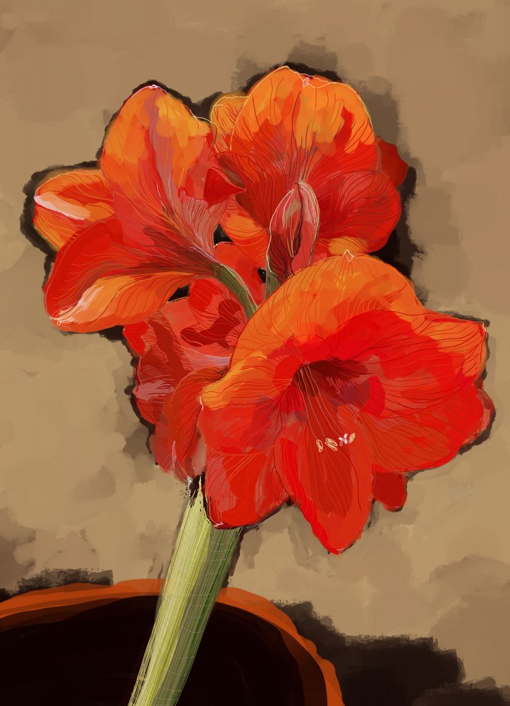 Vibrant Amaryllis Bloom by XHOZUCAN