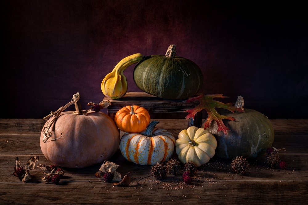 Autumn Harvest Pumpkins by Xiaoyuan Xu