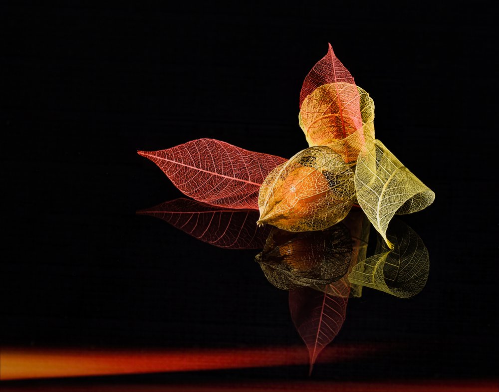Autumn Lanterns Glow by Yi Pan