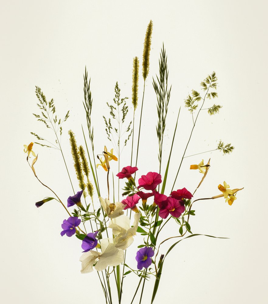 Vibrant Meadow Bouquet by Yuanwei Zuo APA