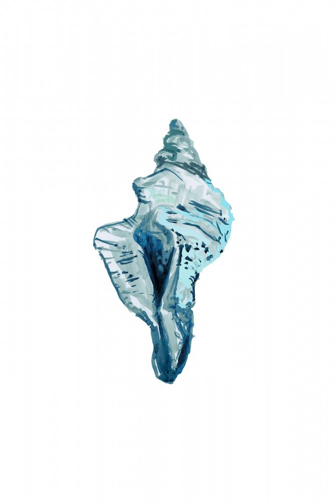 Blue Conch Shell by cartissi