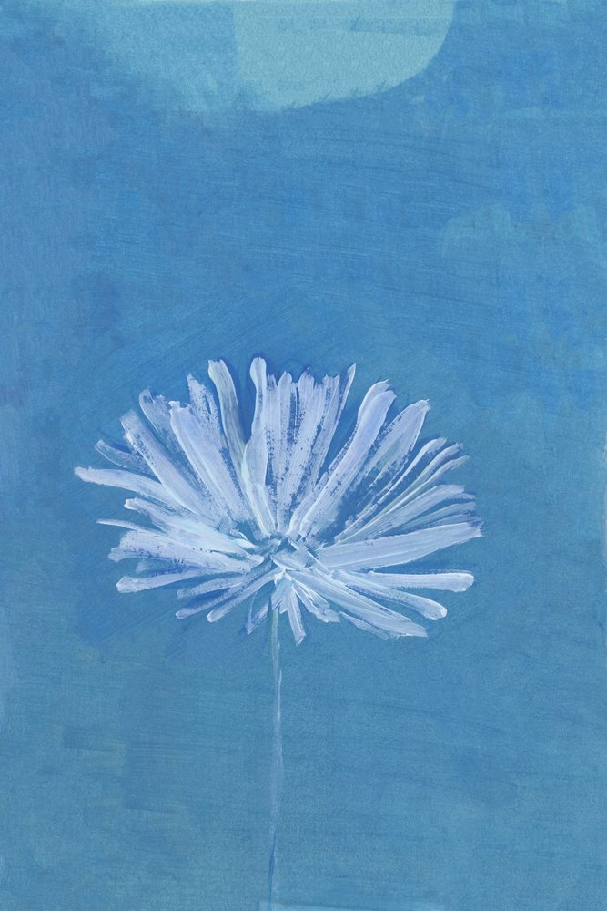 Blue Moon Flower by cartissi