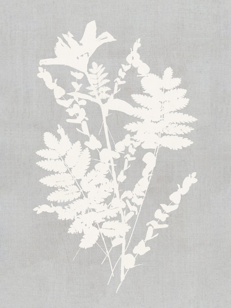 Botanical Silhouette Study by cartissi