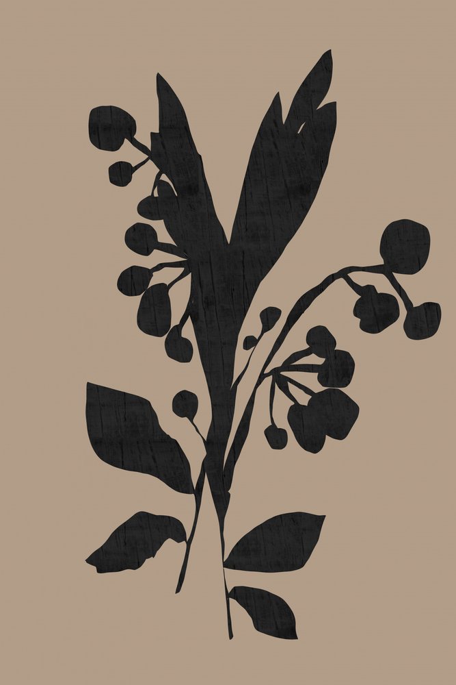 Dark Botanical Silhouette by cartissi