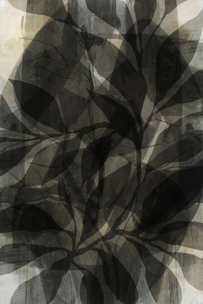 Dark Layered Foliage by cartissi