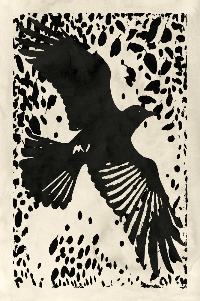 Dark Raven Soaring by cartissi