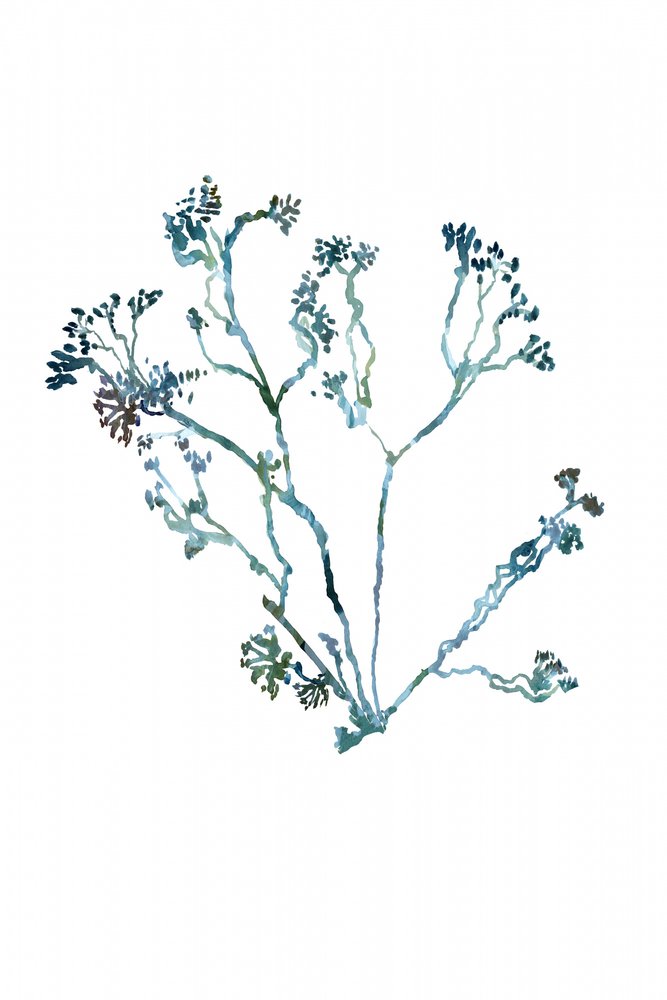 Delicate Botanical Sprig by cartissi