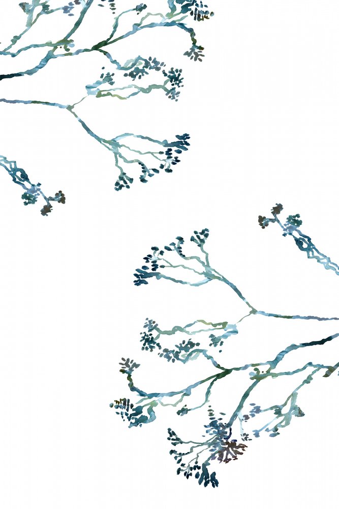 Delicate Winter Branches by cartissi
