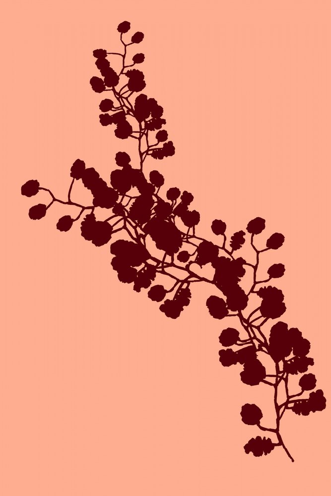 Elegant Floral Silhouette by cartissi