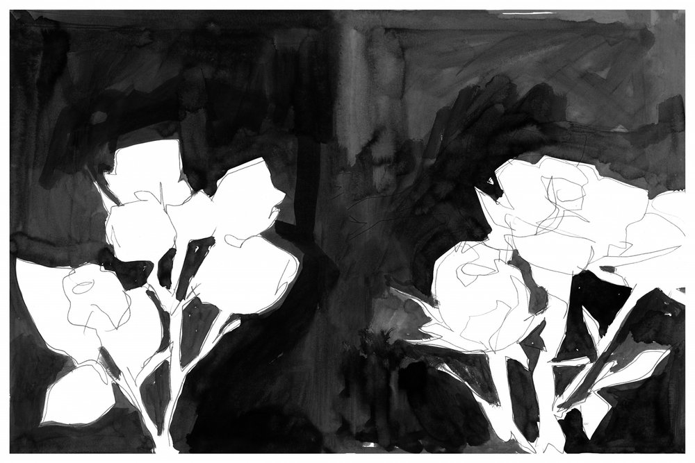 Elegant Night Blooms by cartissi