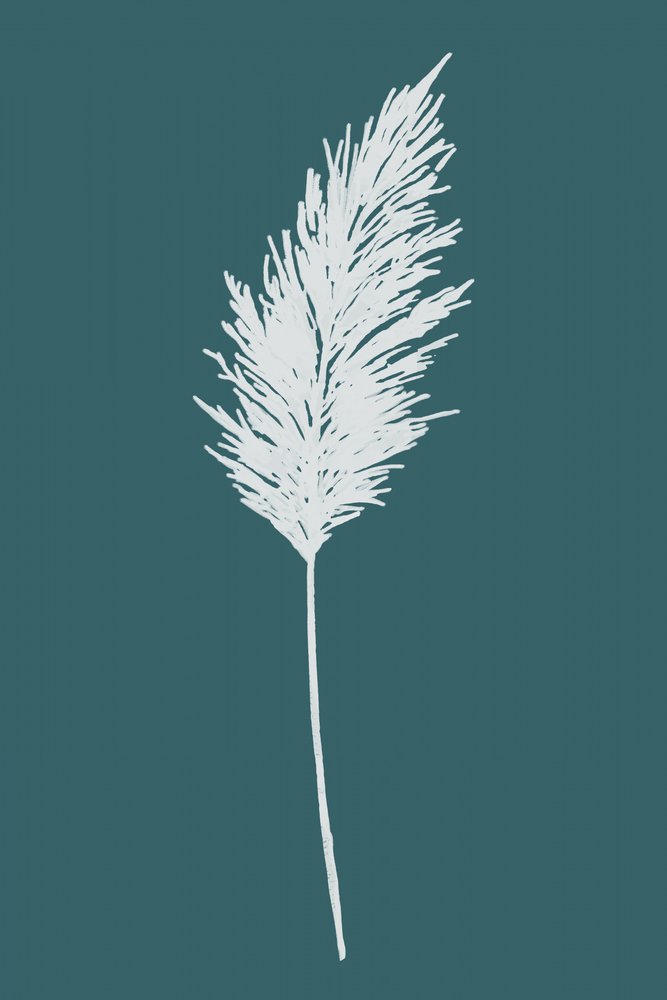 Elegant Pampas Plume by cartissi