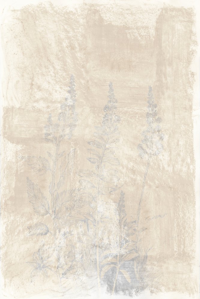 Faded Botanical Sketches by cartissi