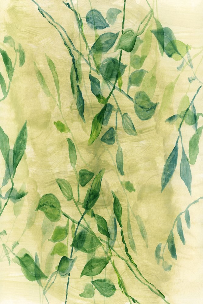 Gentle Botanical Flow by cartissi
