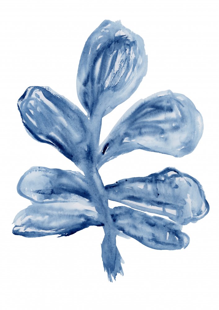 Indigo Watercolor Botanical by cartissi