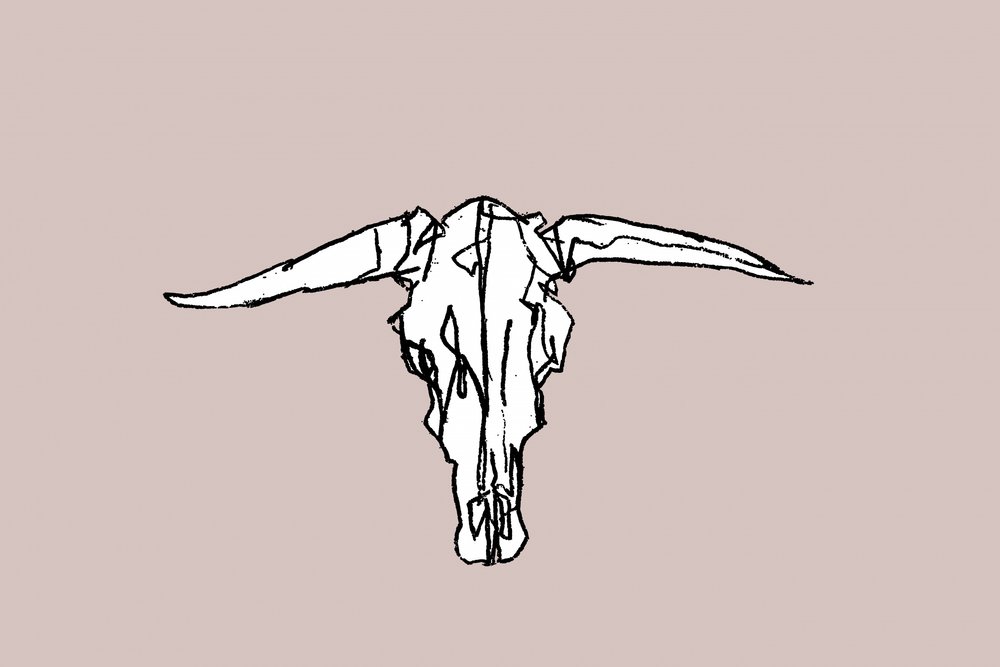 Minimalist Longhorn Skull by cartissi