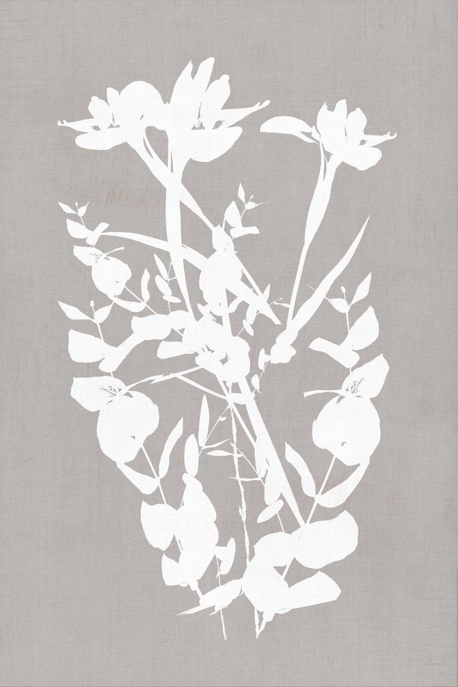 Modern Botanical Silhouettes by cartissi