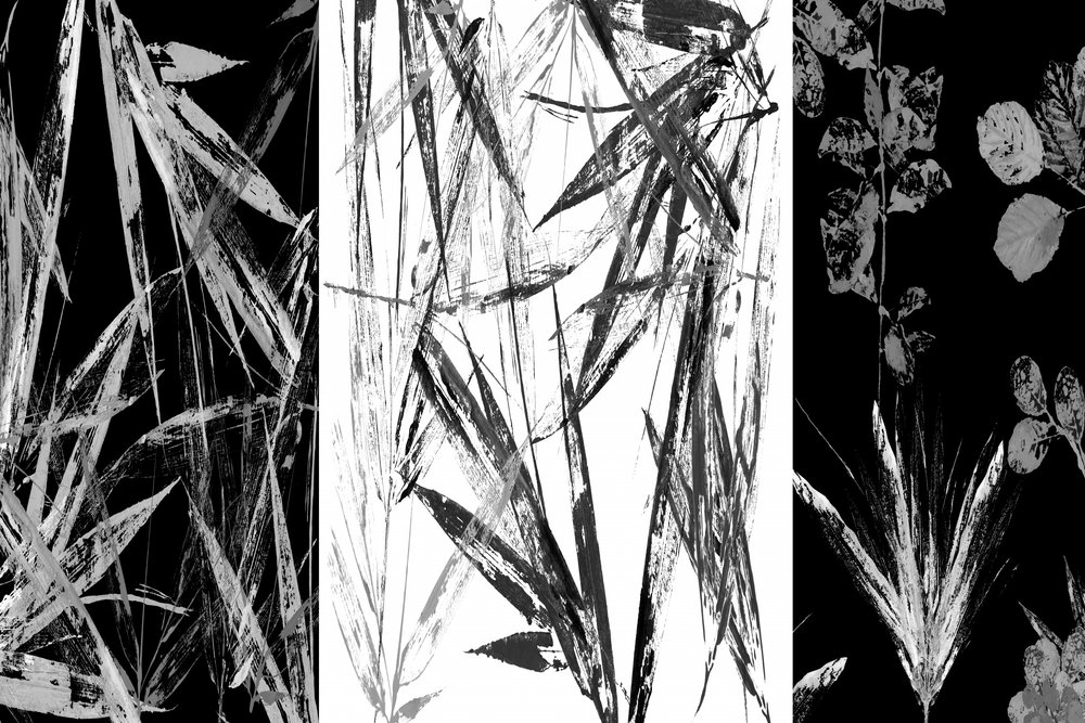 Monochrome Botanical Study by cartissi