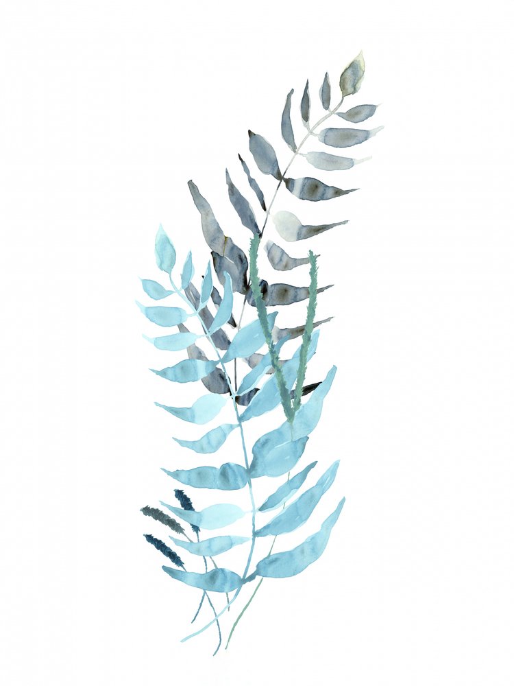 Muted Blue Ferns by cartissi