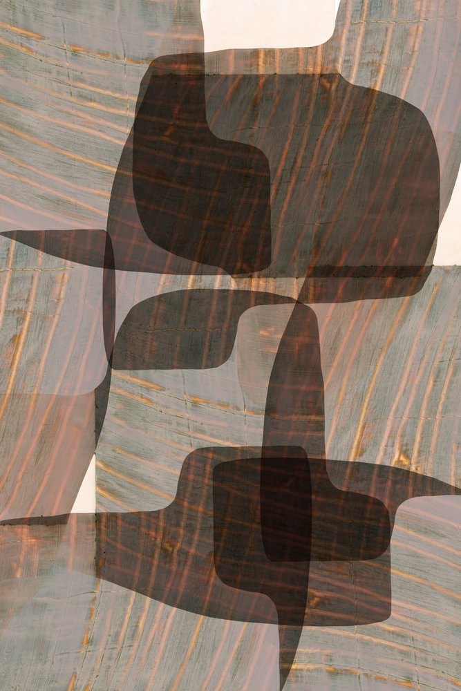 Muted Organic Forms by cartissi