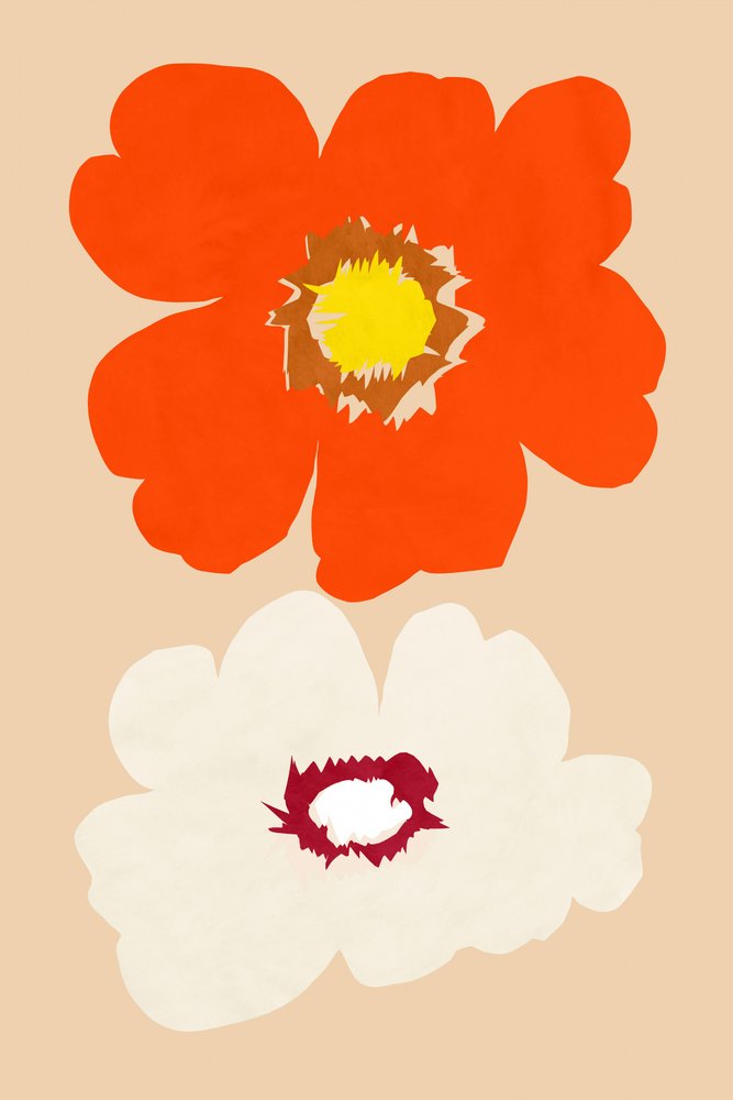 Orange and White Blooms by cartissi
