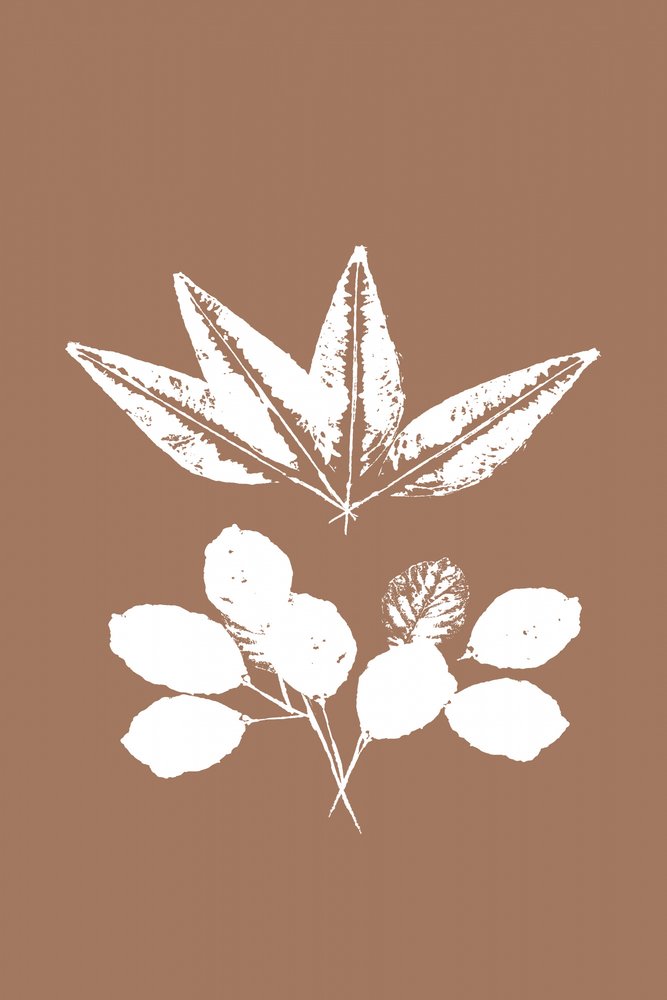 Organic Leaf Silhouettes by cartissi